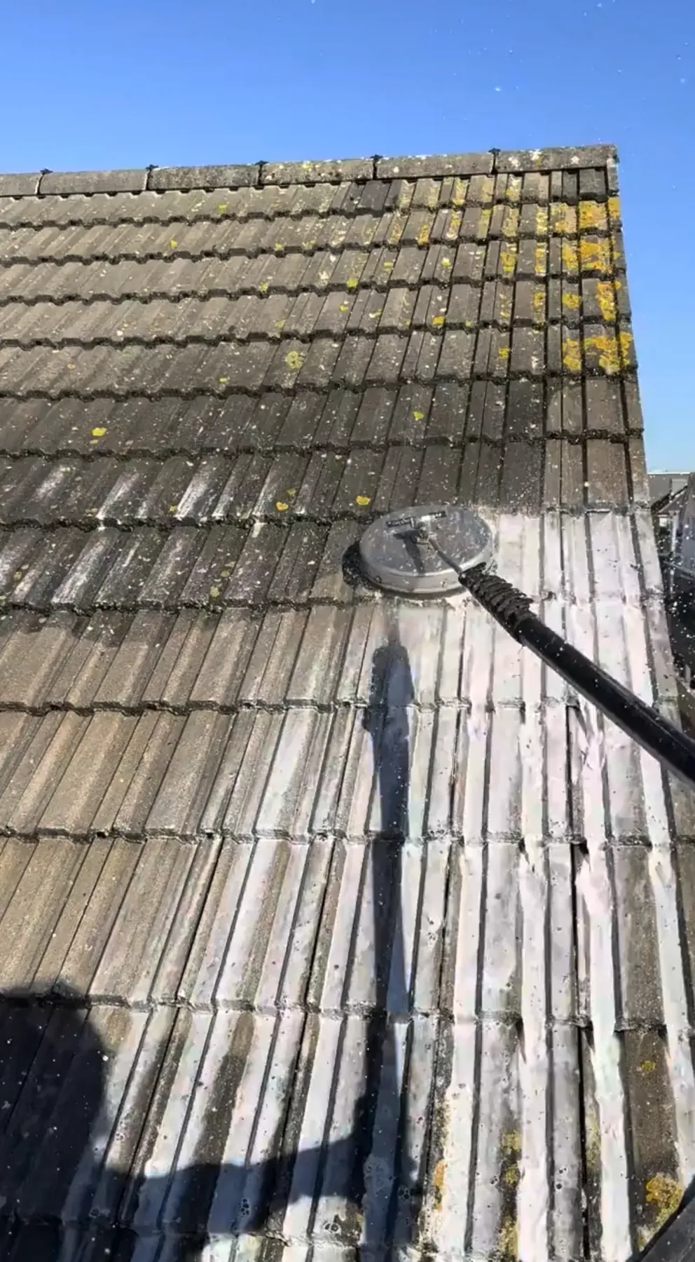A low-pressure cleaning head working lichen and moss off a tiled roof